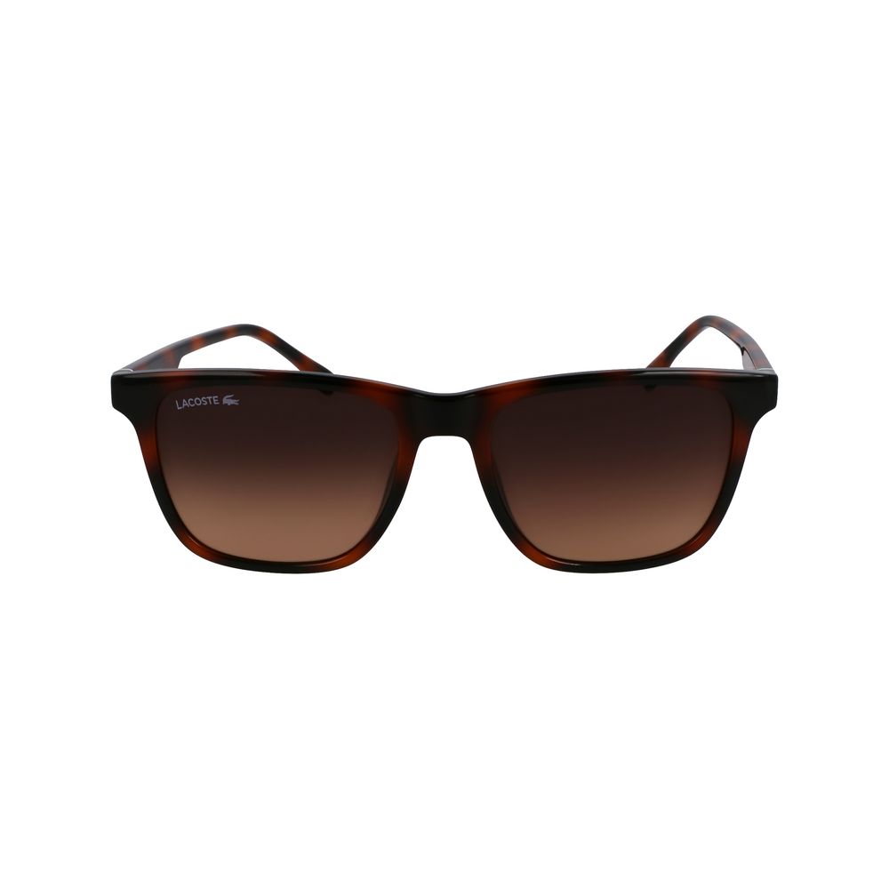 Brown Injected Sunglasses - ventzia