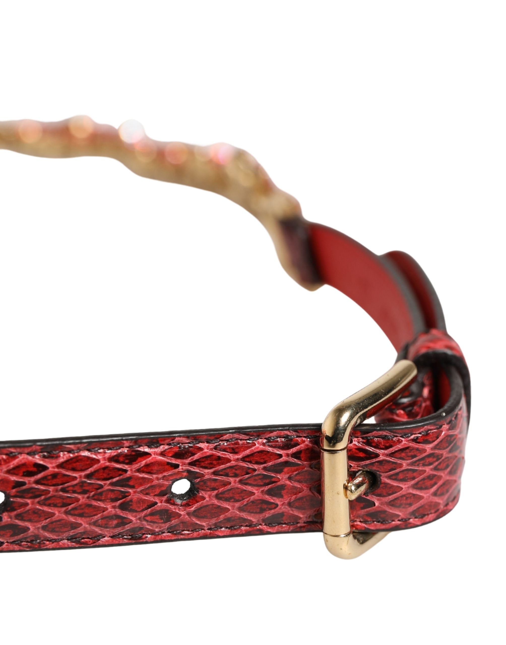 Red Leather Daisy Crystal Embellished Waist Belt - ventzia