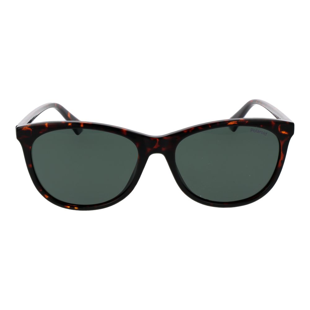 Brown Plastic Sunglasses - ventzia