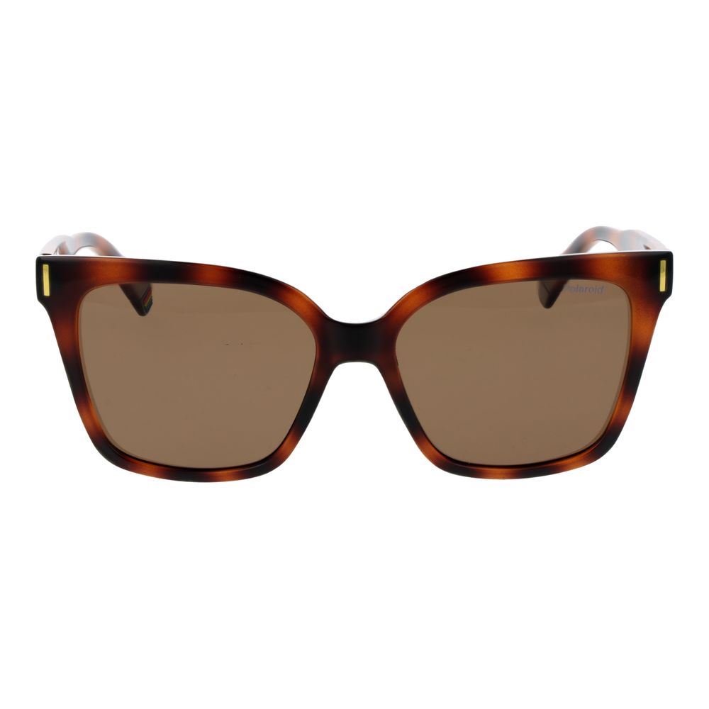 Brown Plastic Sunglasses - ventzia