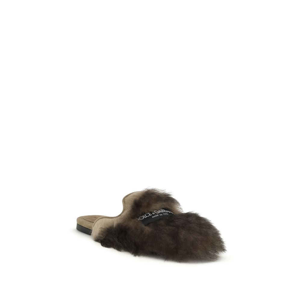 Gray Lamb Ovis Aries Aries Mules - ventzia