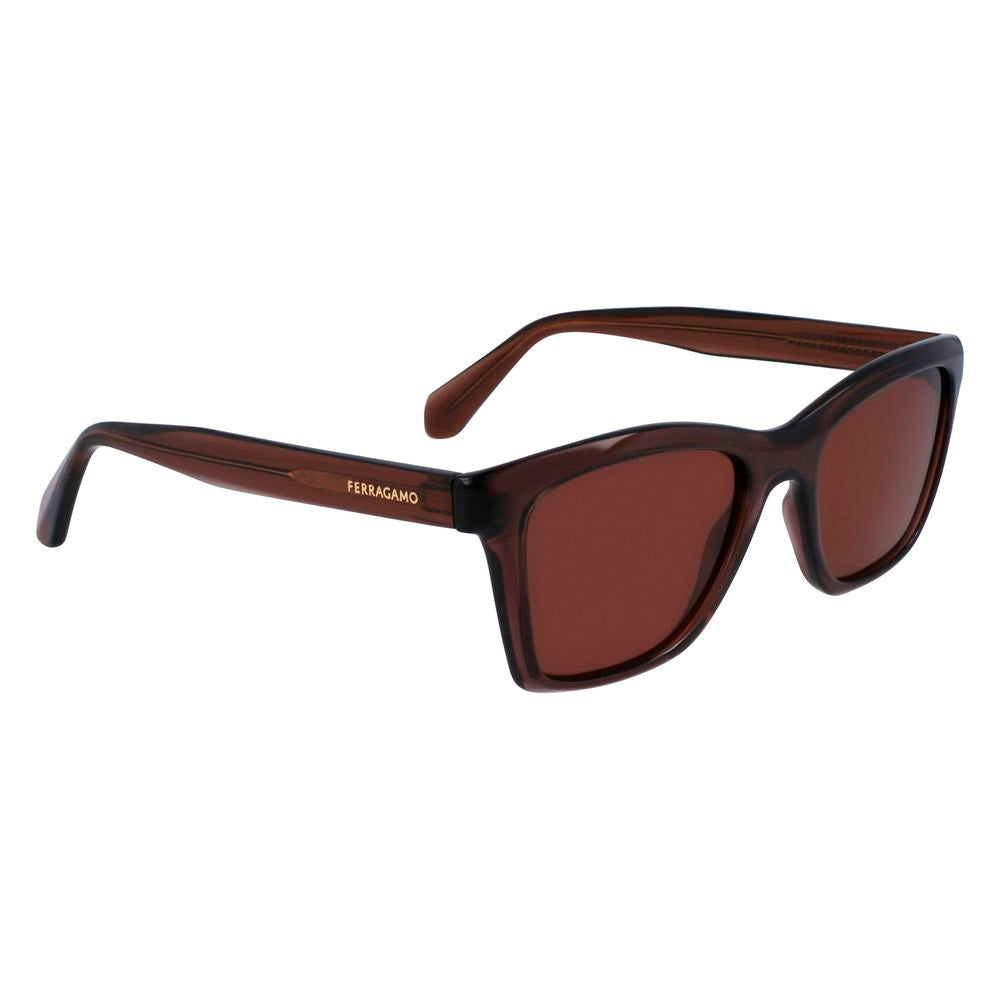 Brown Injected Sunglasses - ventzia