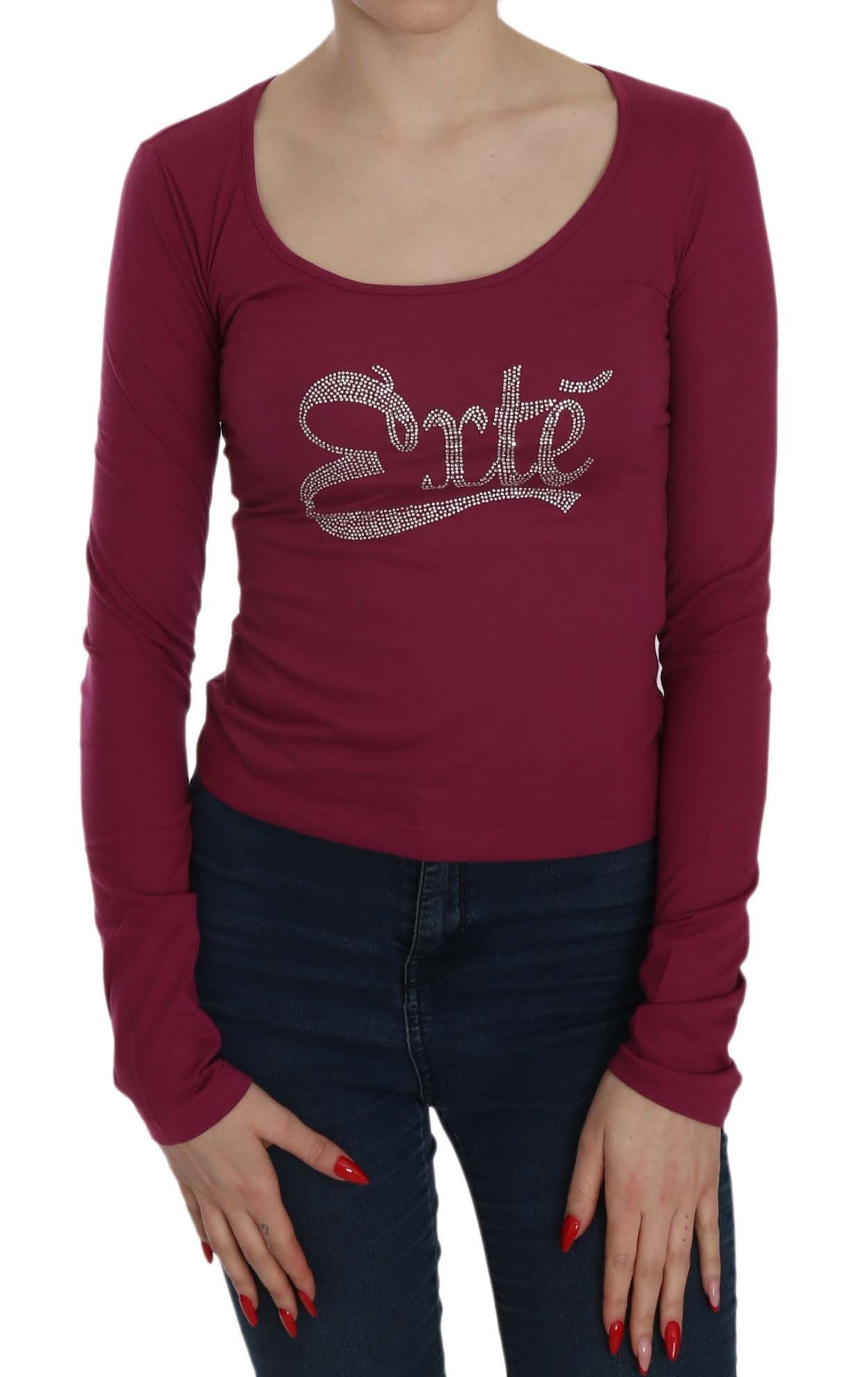 Fuchsia Crystal Embellished U-Neck Blouse - ventzia