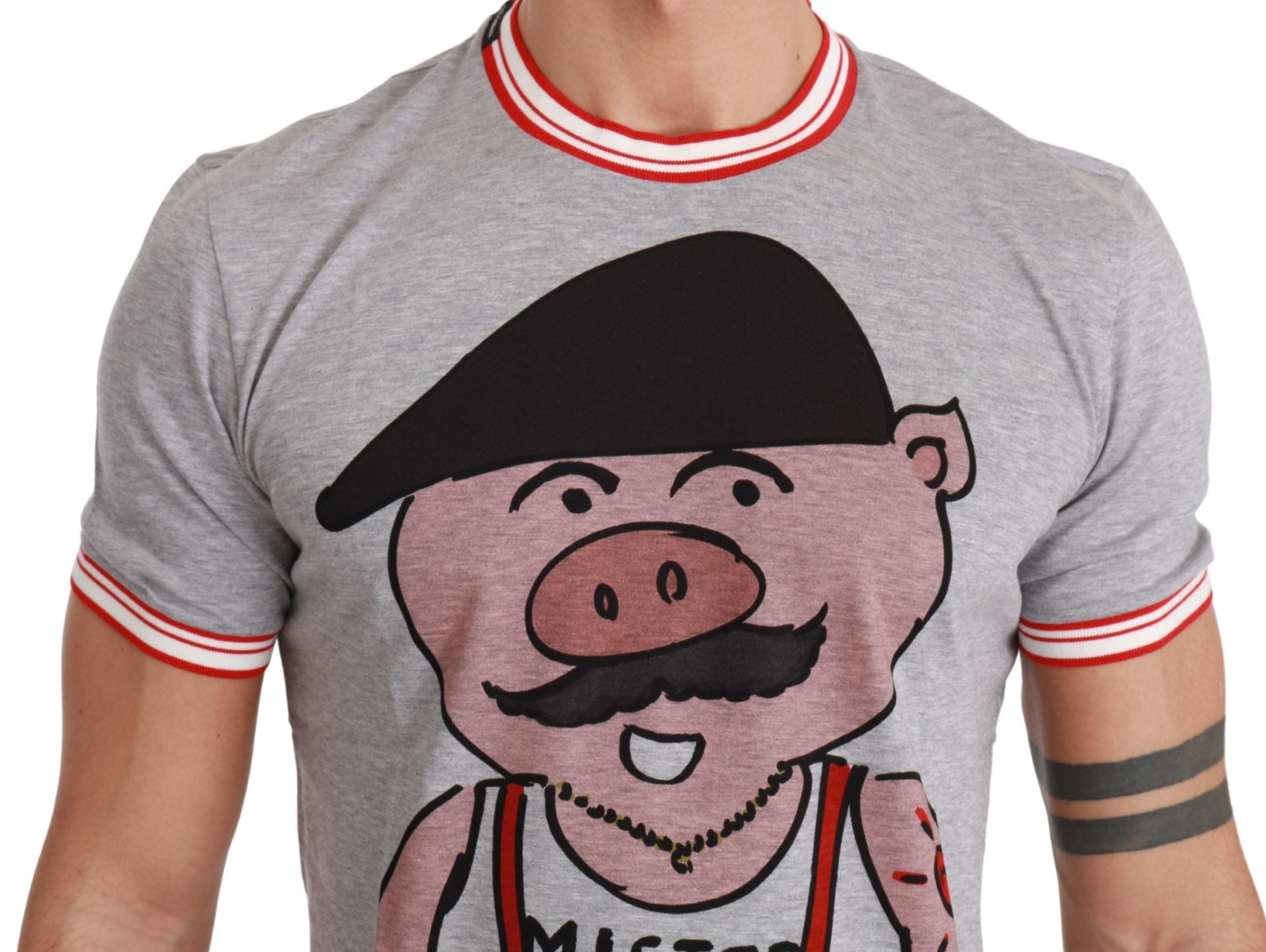 Chic Gray Cotton T-Shirt with Year of the Pig Motive - ventzia