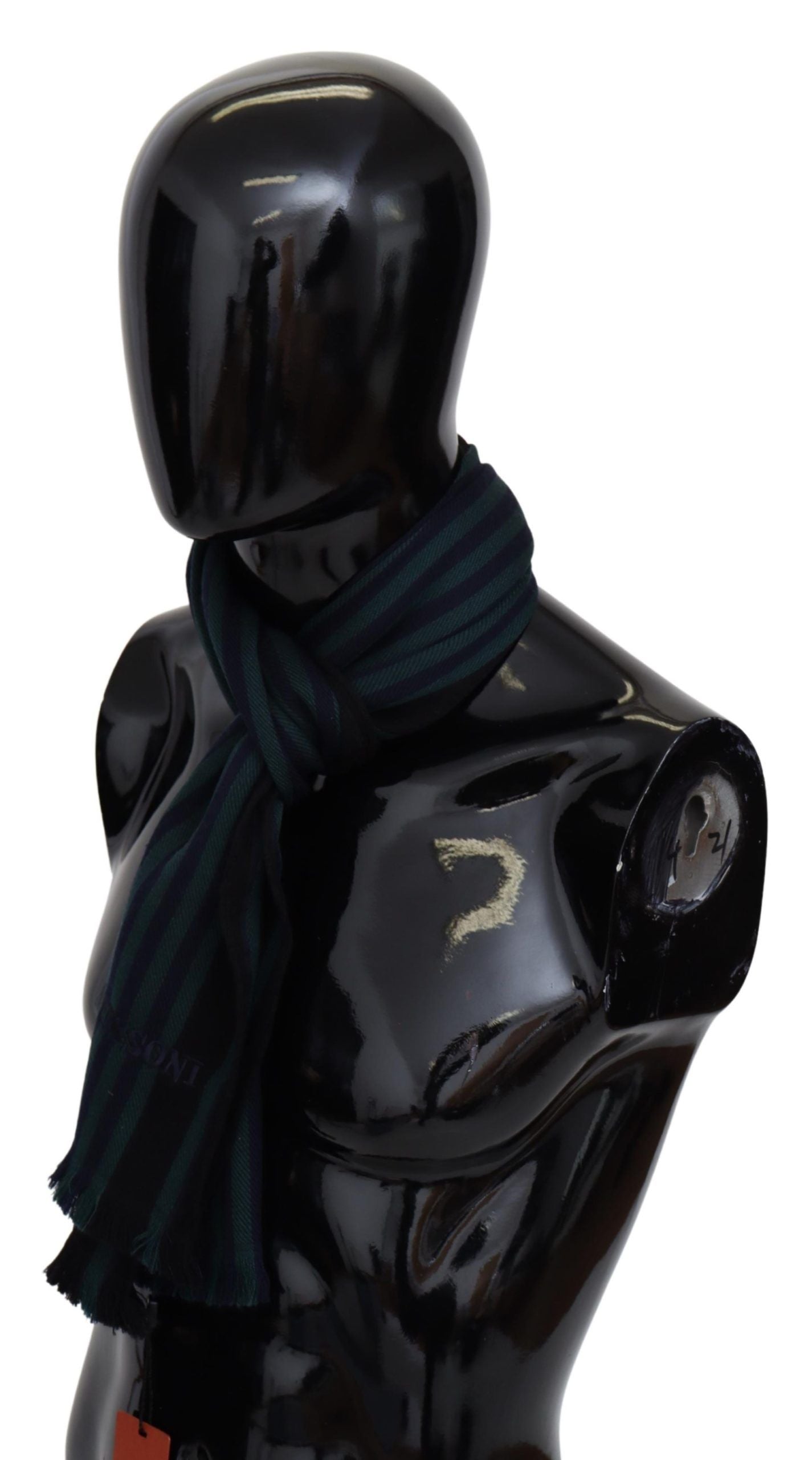 Elegant Multicolor Wool Scarf with Fringes - ventzia