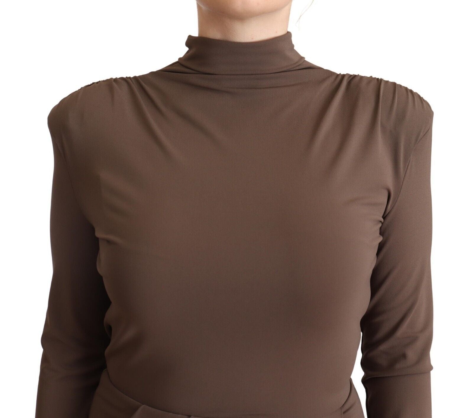 Brown Acetate Long Sleeves Turtle Neck Sheath Dress - ventzia
