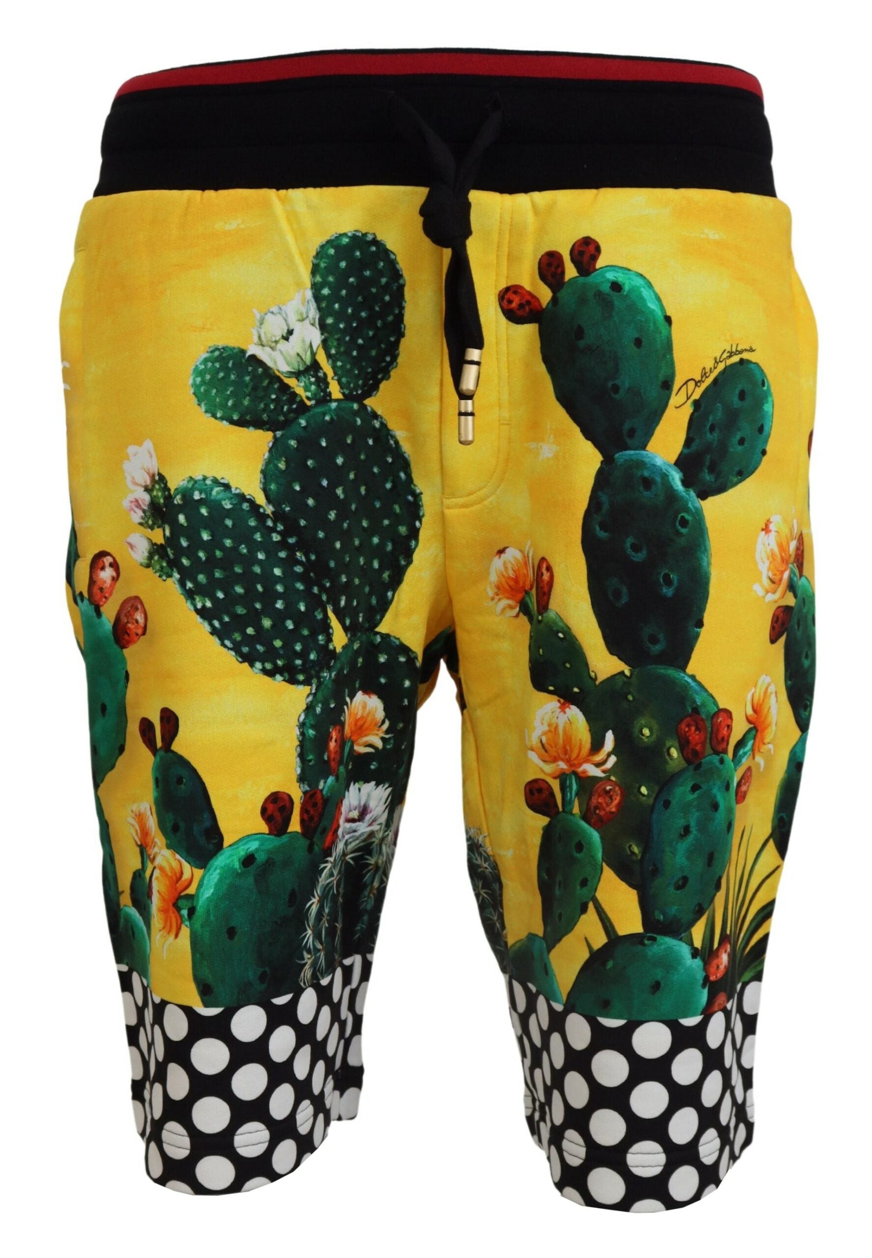 Multicolor Cactus Print Cotton Sweat Shorts - ventzia