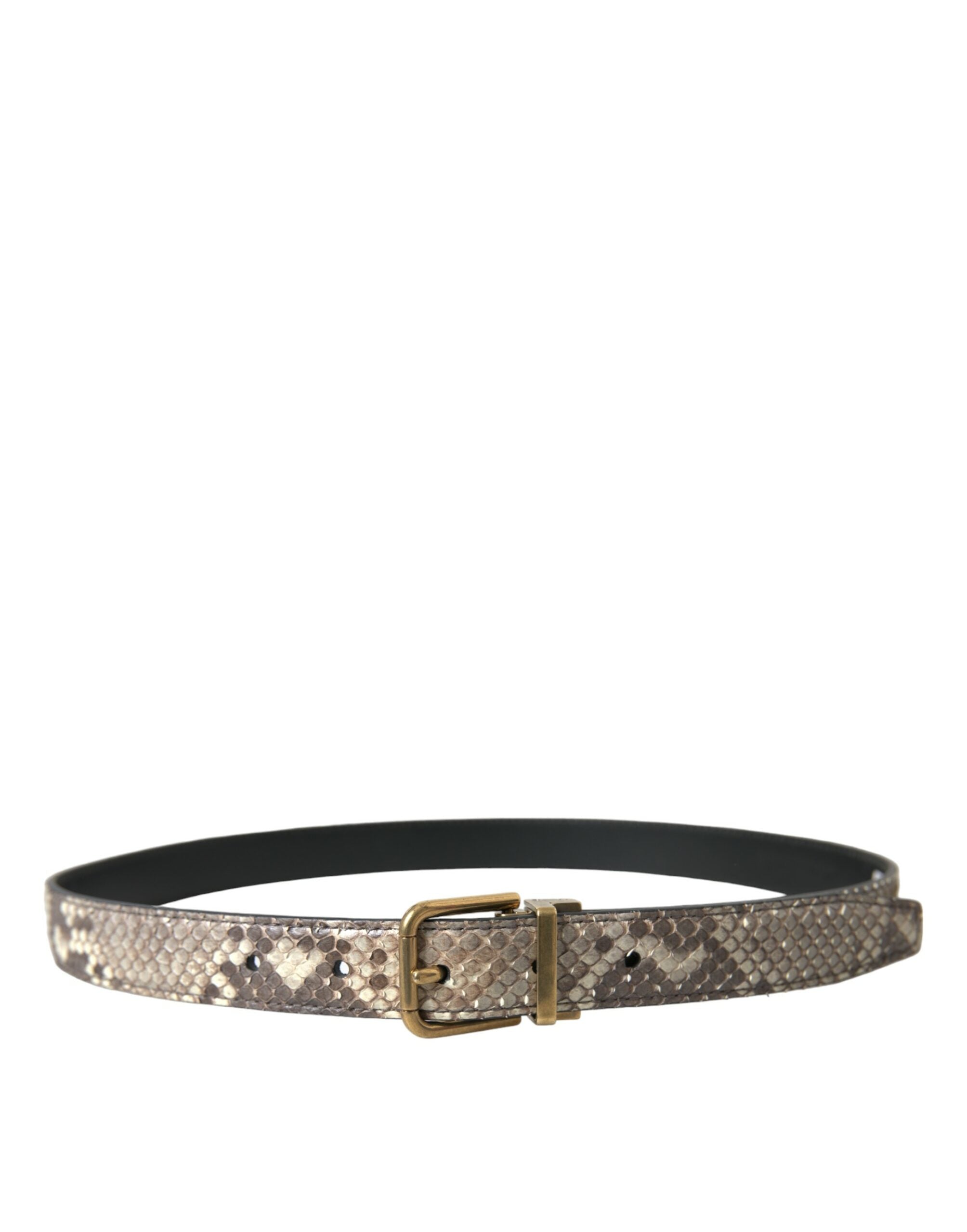 Brown Python Leather Gold Metal Buckle Belt - ventzia