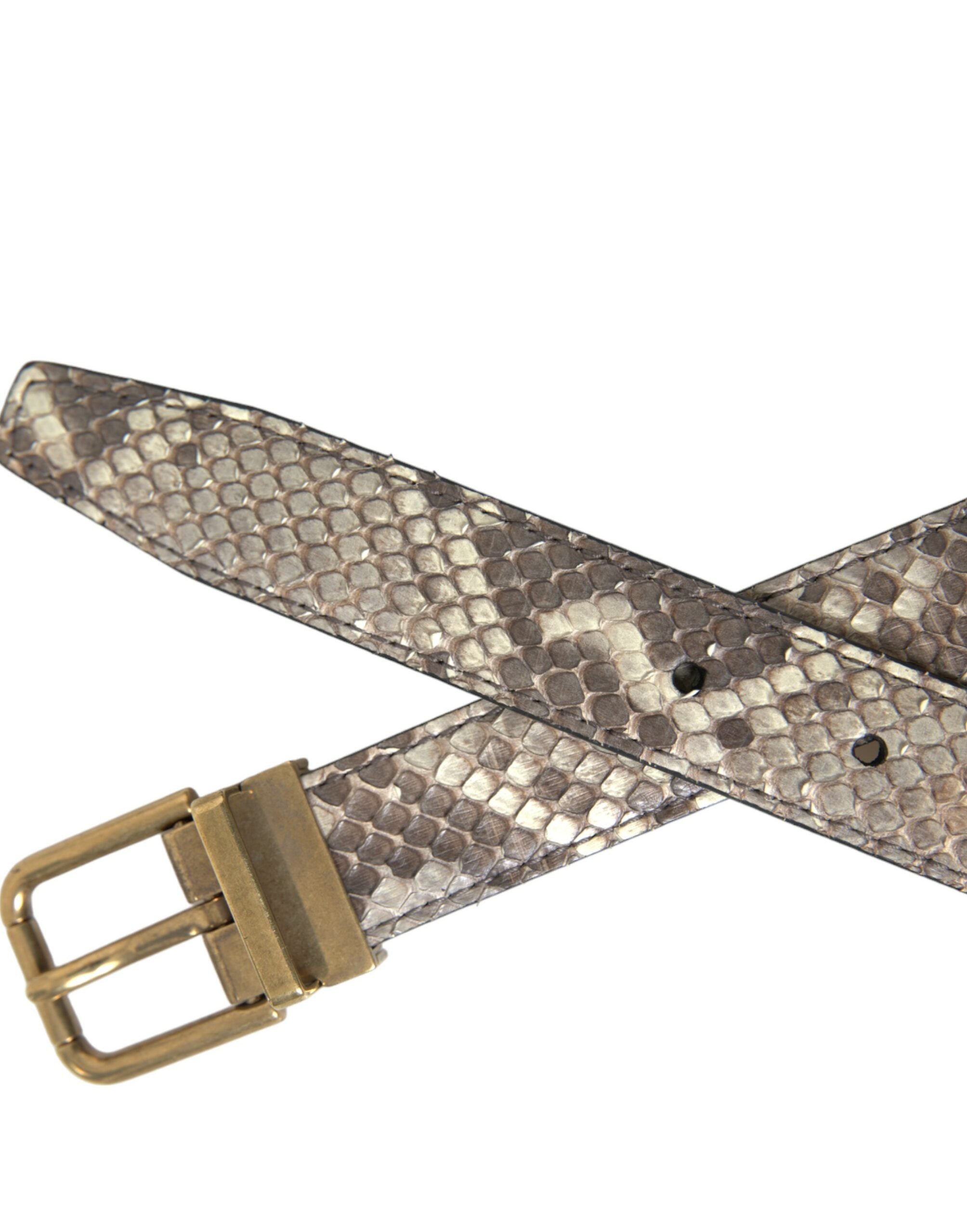 Brown Python Leather Gold Metal Buckle Belt - ventzia