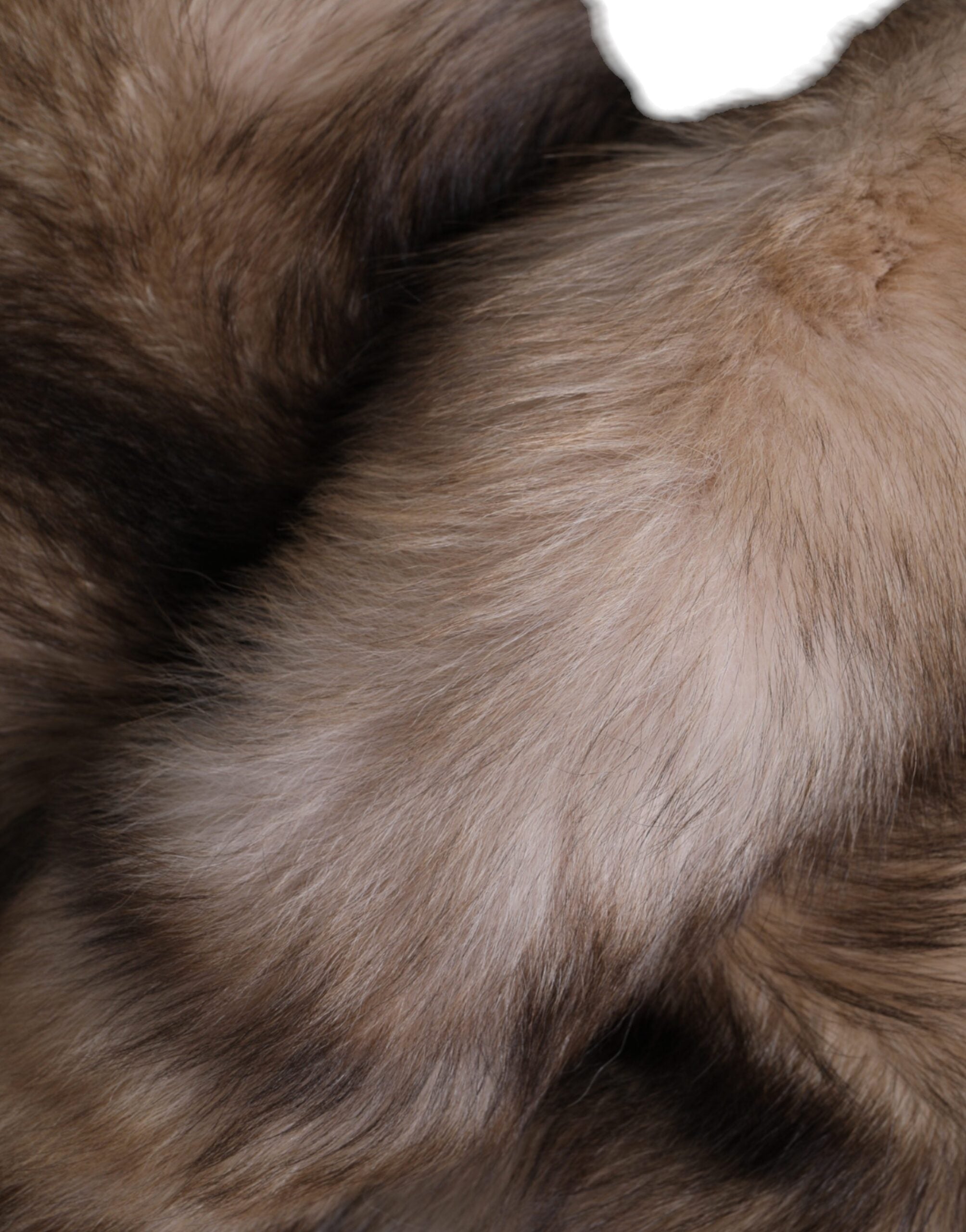 Brown Frost Fox Fur Neck Warmer Winter Scarf - ventzia