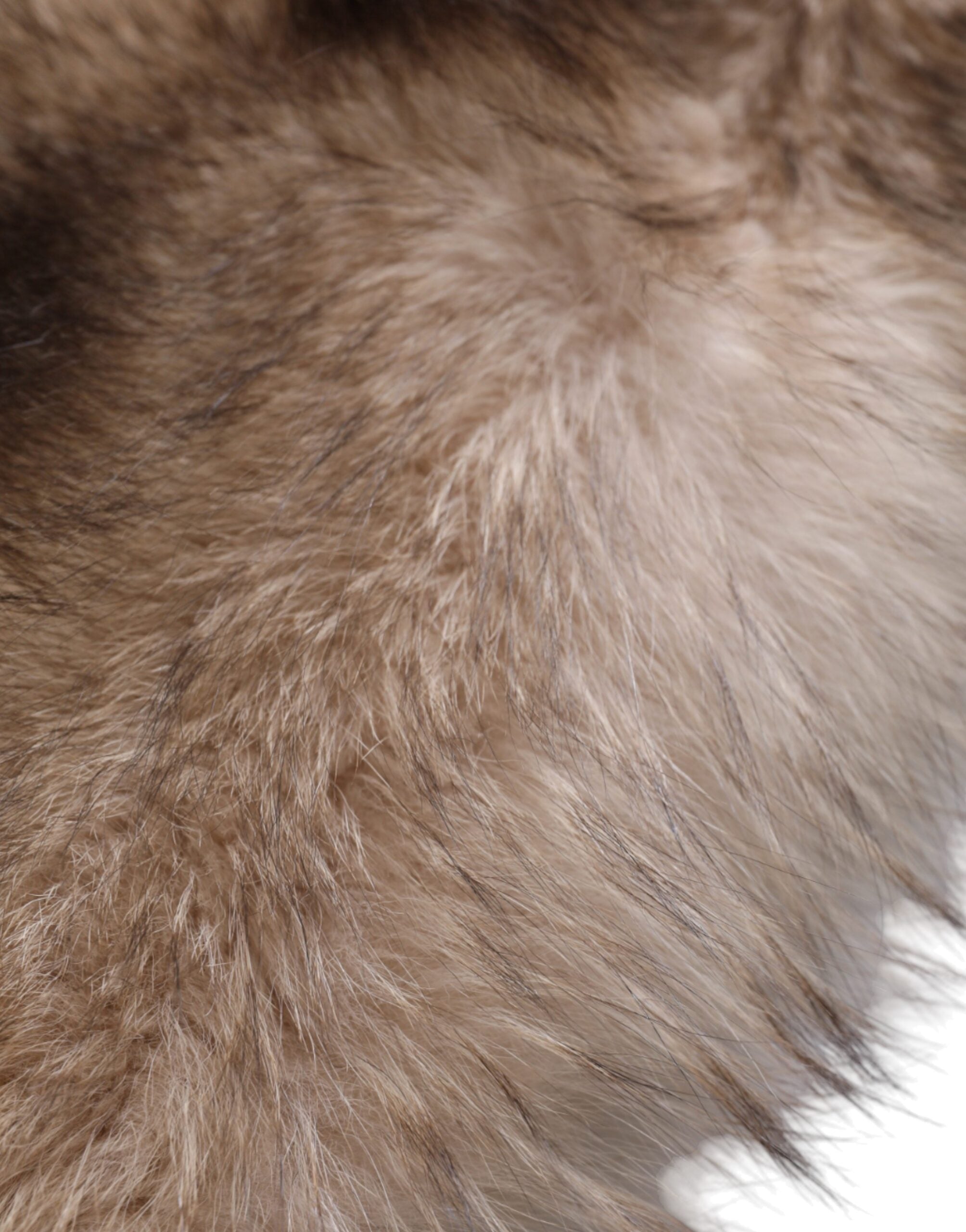 Brown Frost Fox Fur Neck Warmer Winter Scarf - ventzia