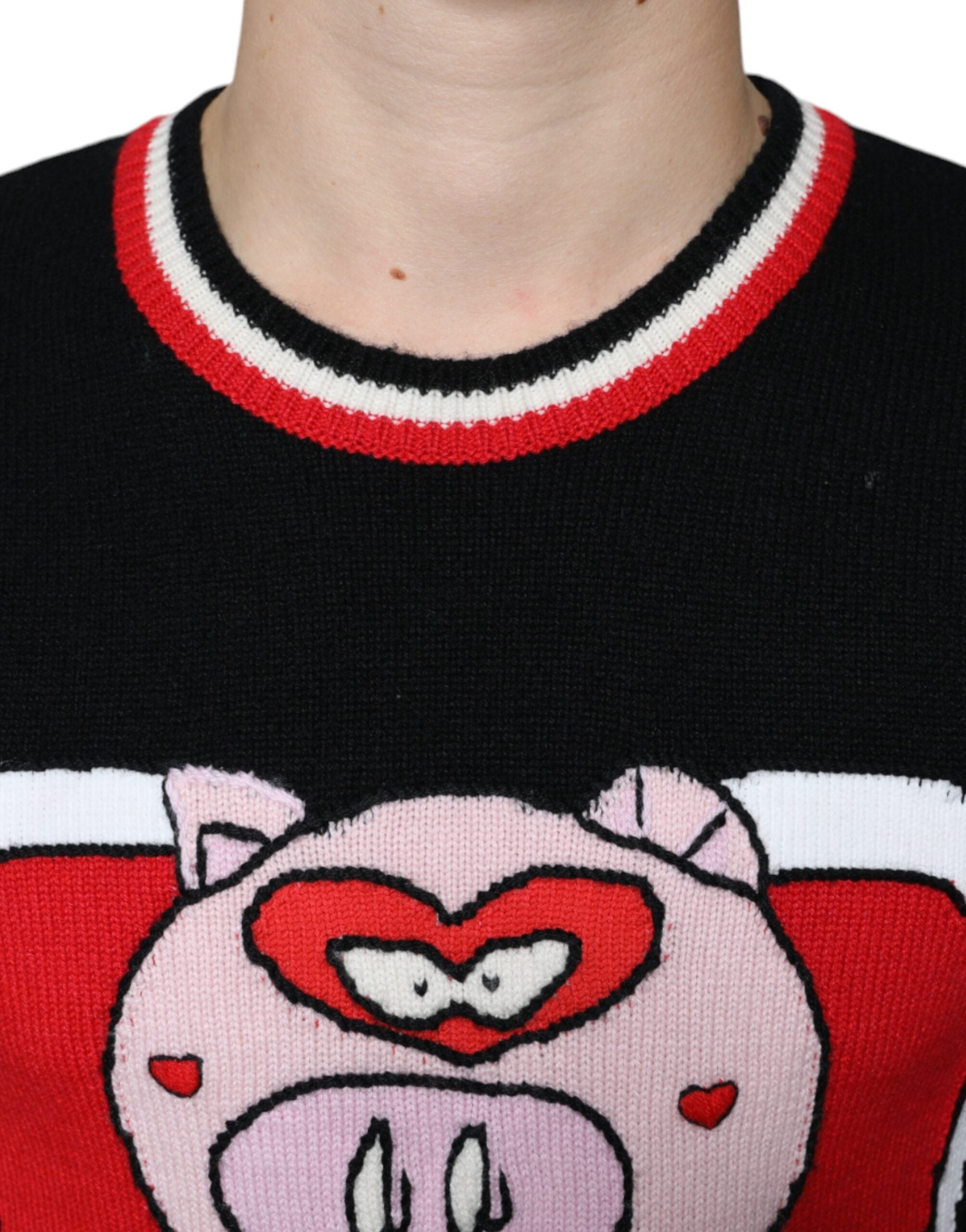 Black Cashmere Pig of the Year Pullover Sweater - ventzia