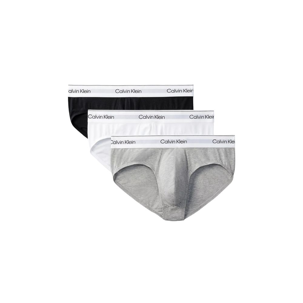 Gray Cotton Briefs - ventzia