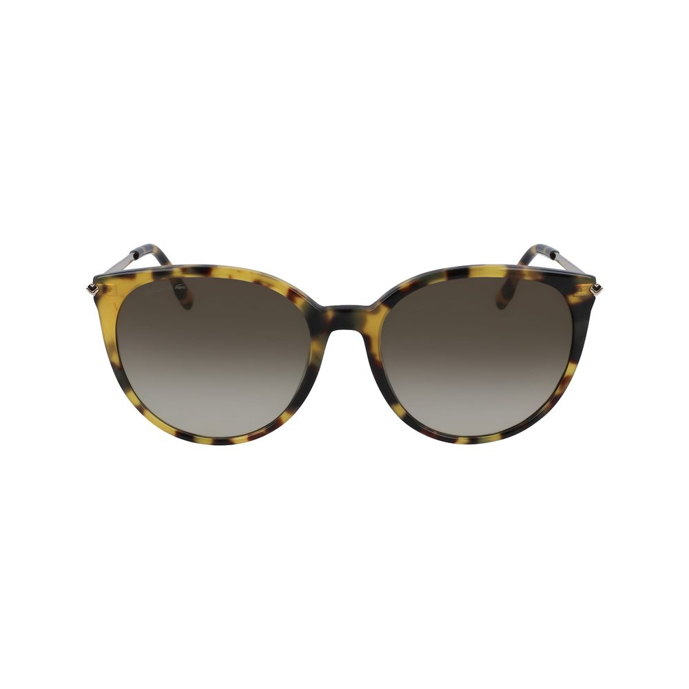 Brown Metal Sunglasses - ventzia