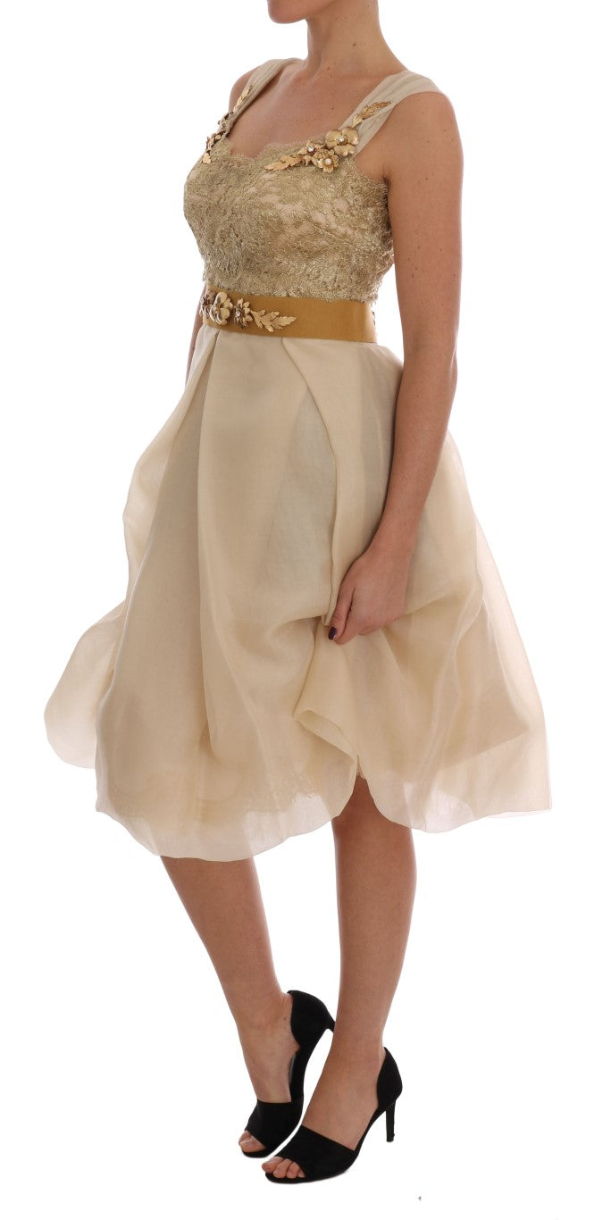 Elegant Embellished Lace & Organza Silk Dress - ventzia