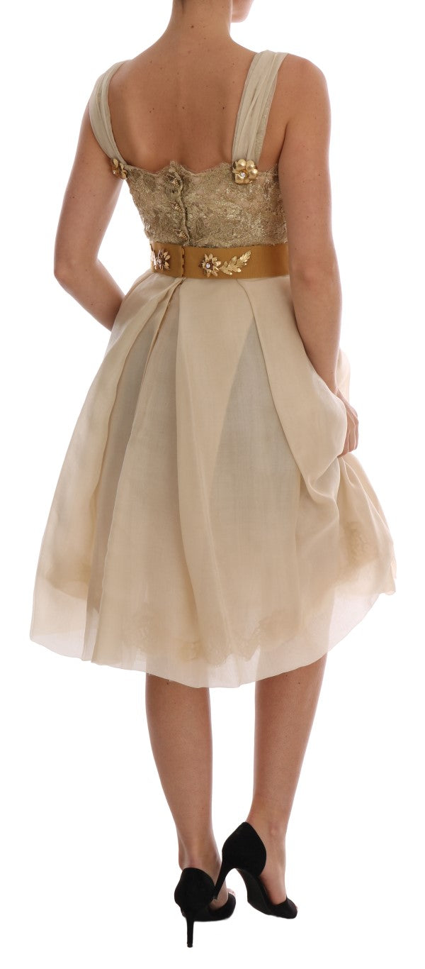 Elegant Embellished Lace & Organza Silk Dress - ventzia