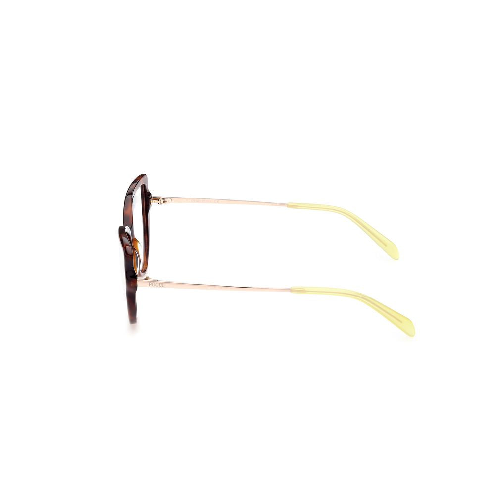 Brown Acetate Frames - ventzia