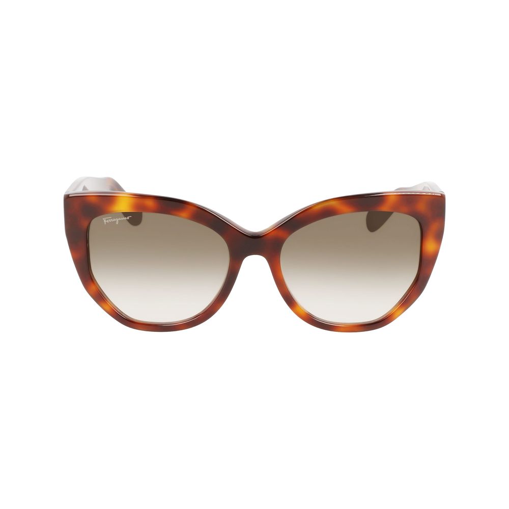 Brown Acetate Sunglasses - ventzia