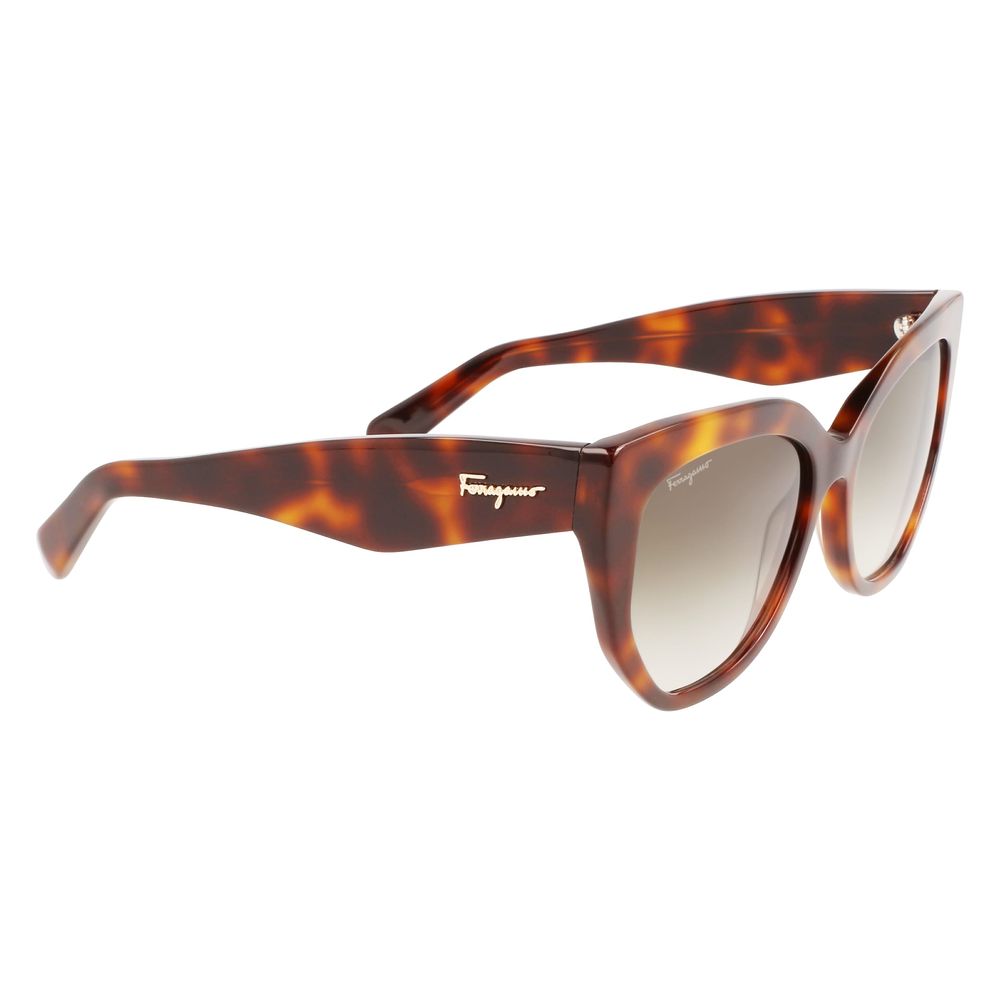 Brown Acetate Sunglasses - ventzia