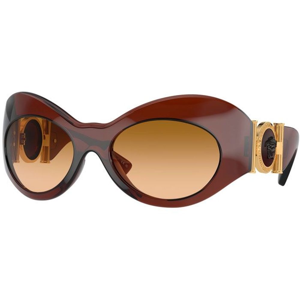 Brown Acetate Sunglasses - ventzia