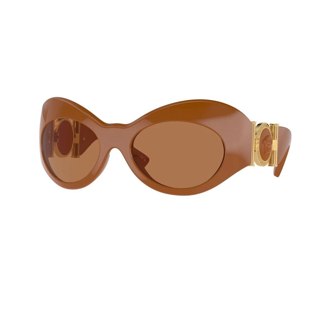 Brown Acetate Sunglasses - ventzia
