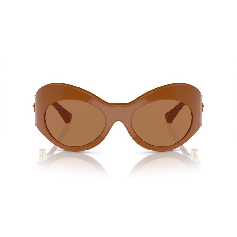 Brown Acetate Sunglasses - ventzia
