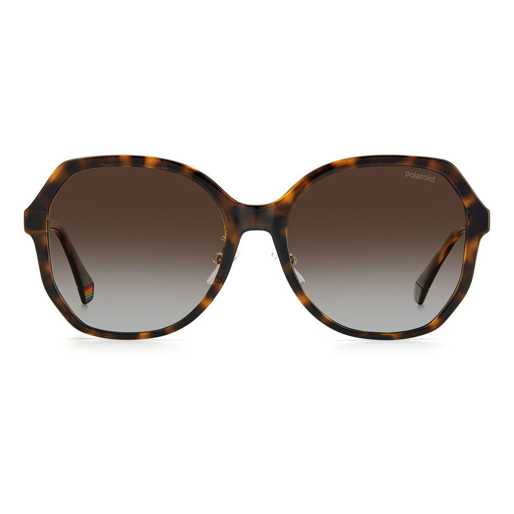 Brown Plastic Sunglasses