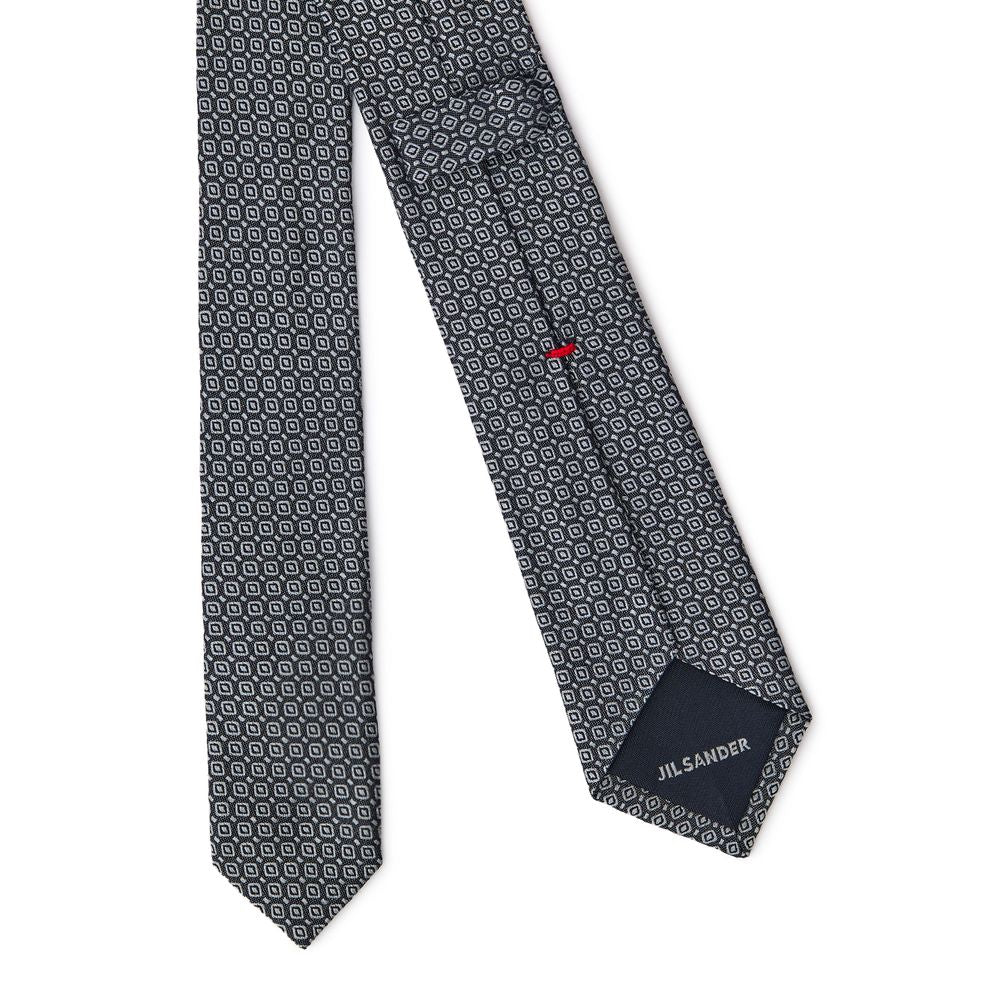 Gray Silk Ties & Bowty - ventzia