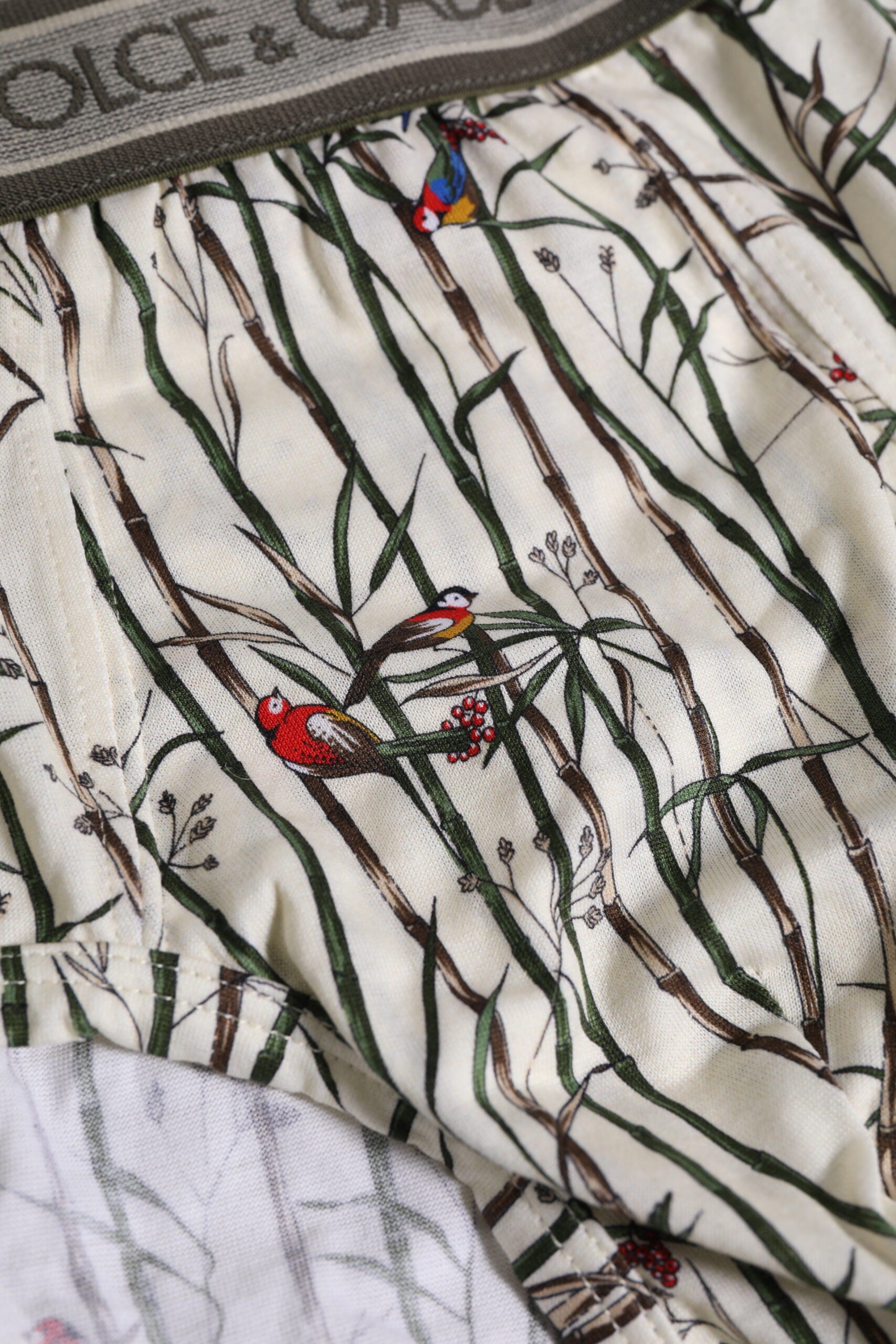 Ivory Bird Print Cotton Regular Brief Underwear - ventzia
