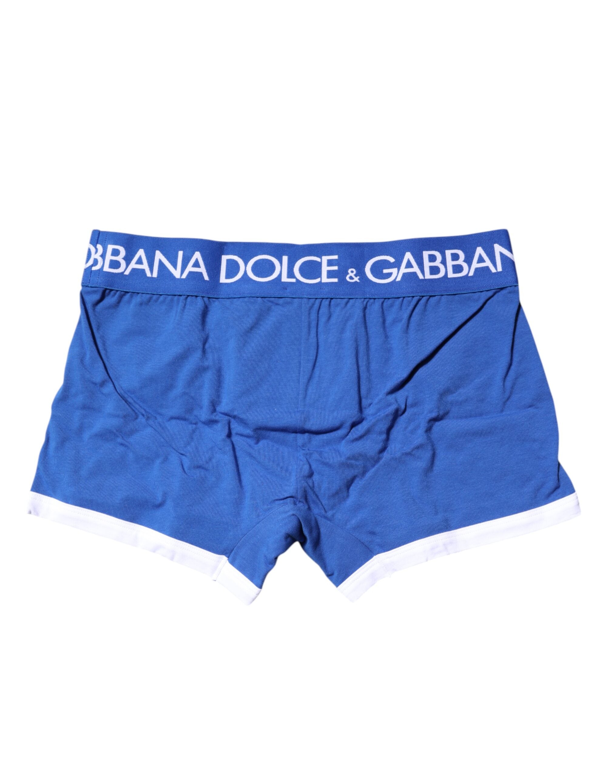 Blue Logo Waist Regular Boxer Brief Underwear - ventzia