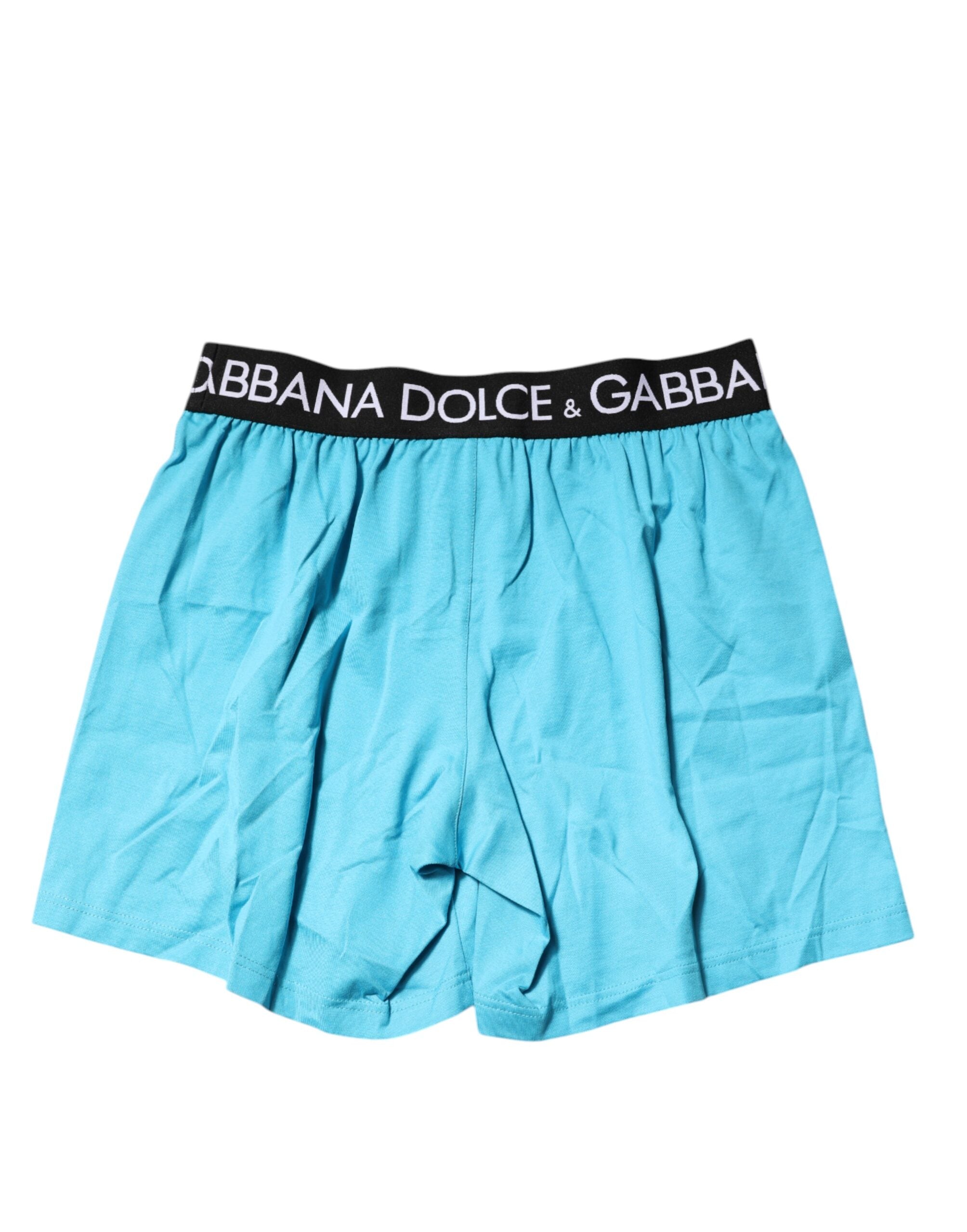 Blue Logo Waist Regular Boxer Shorts Underwear - ventzia