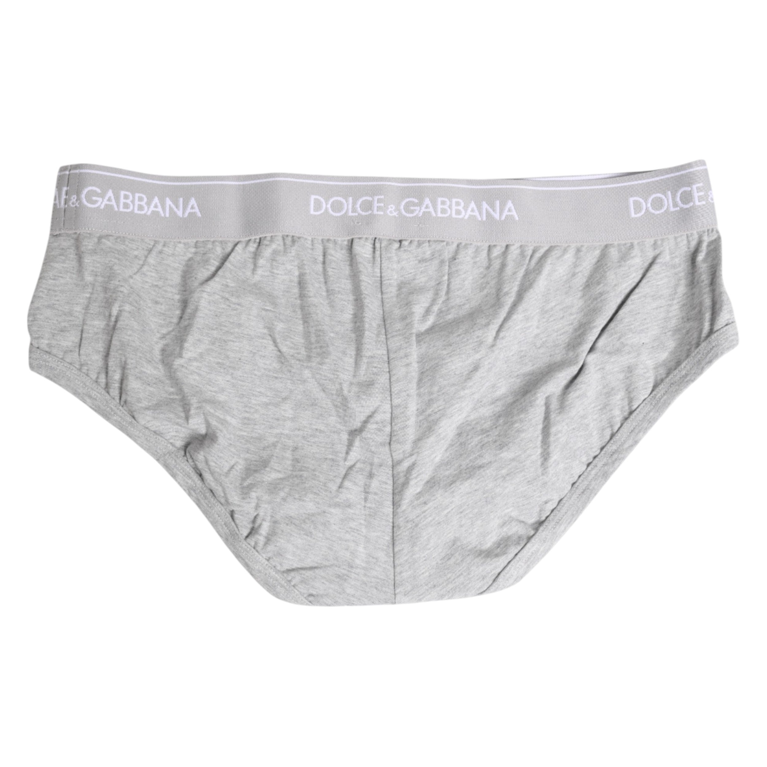 Gray Cotton Stretch Regular Brief Underwear - ventzia