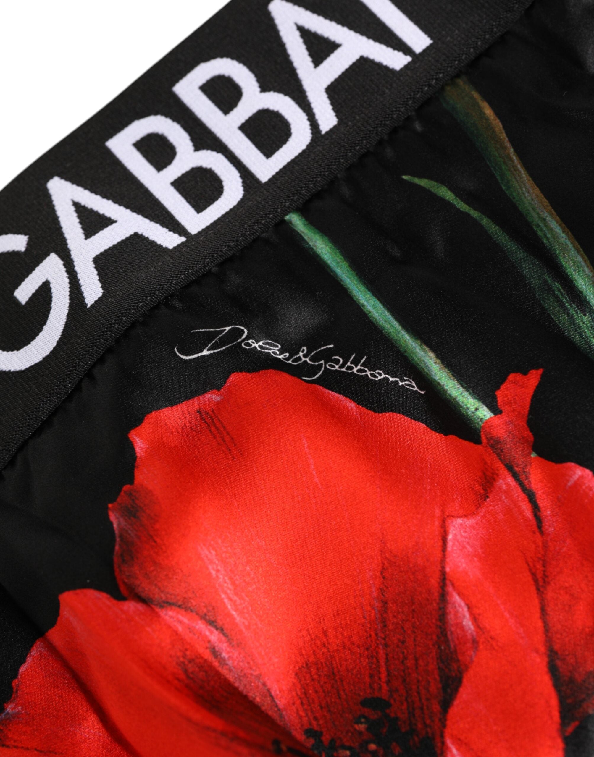 Black Floral Print High Waist Sheer Mesh Underwear - ventzia