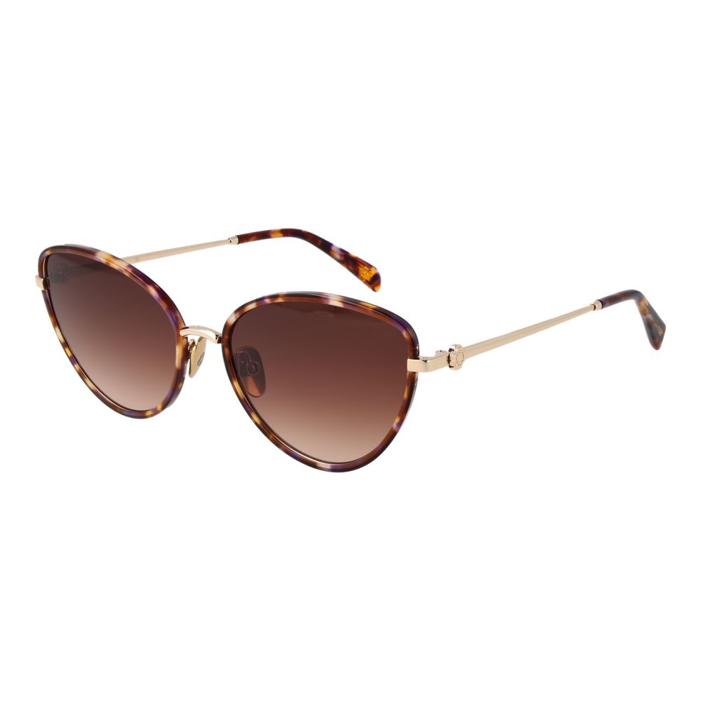 Brown Acetate Sunglasses - ventzia