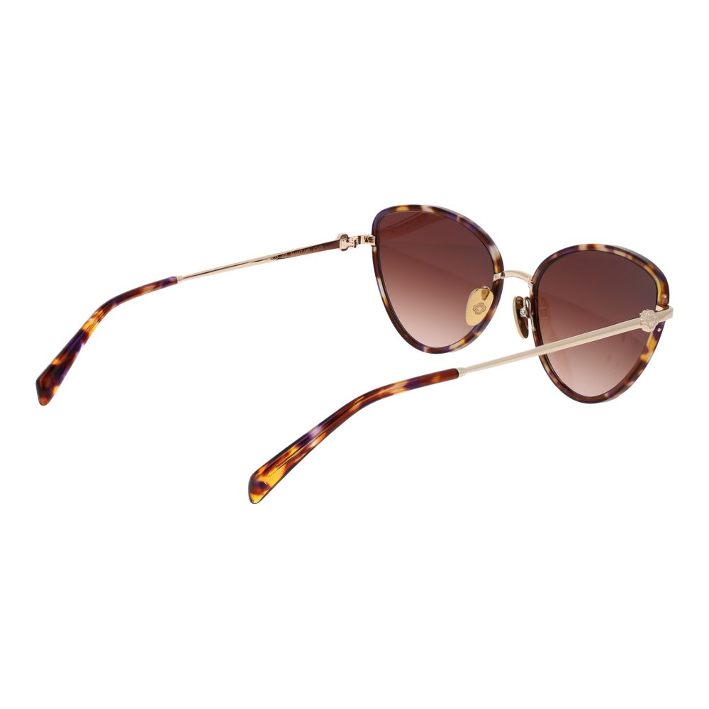 Brown Acetate Sunglasses - ventzia