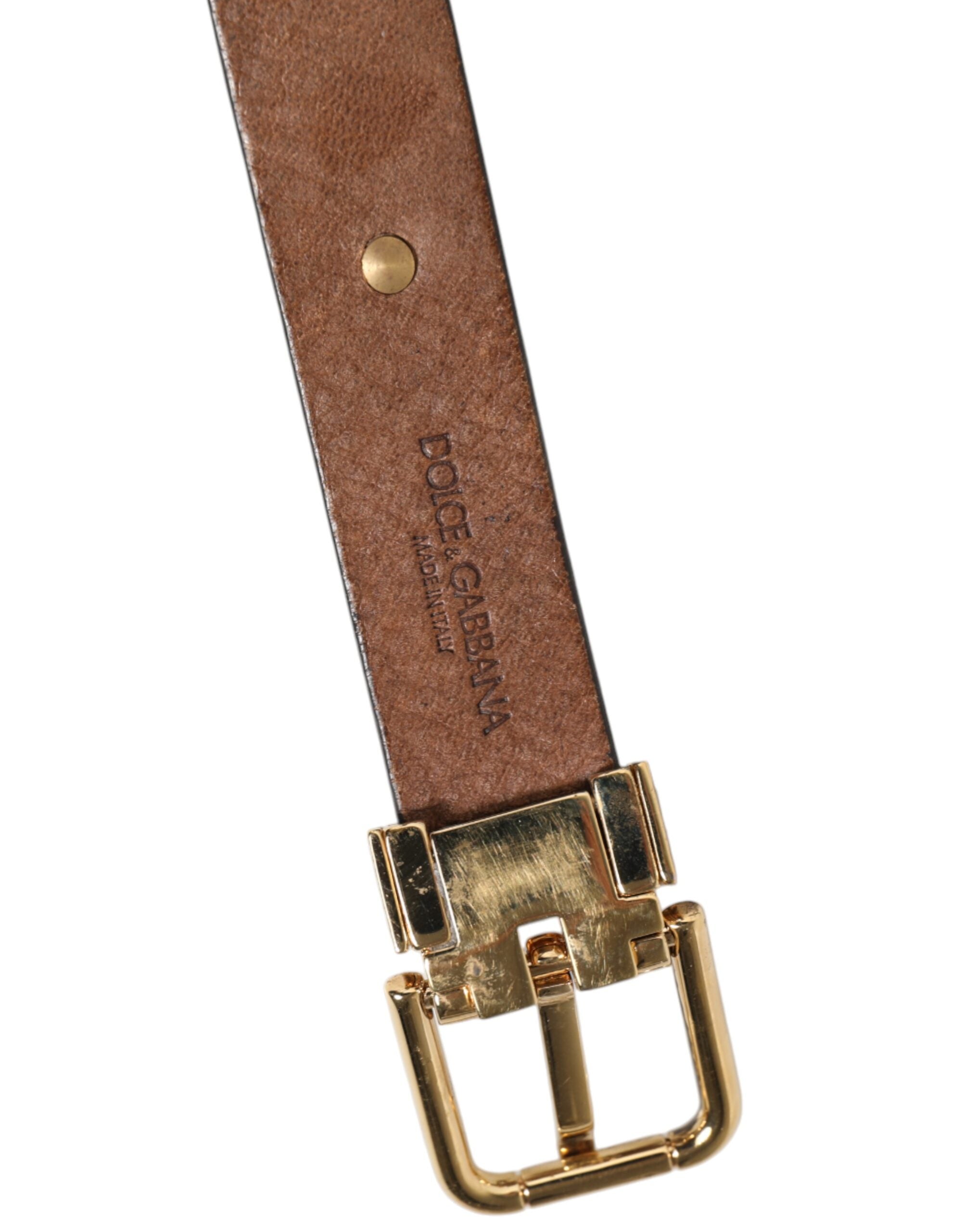 Brown Leather Gold Silver Coin Buckle Belt - ventzia
