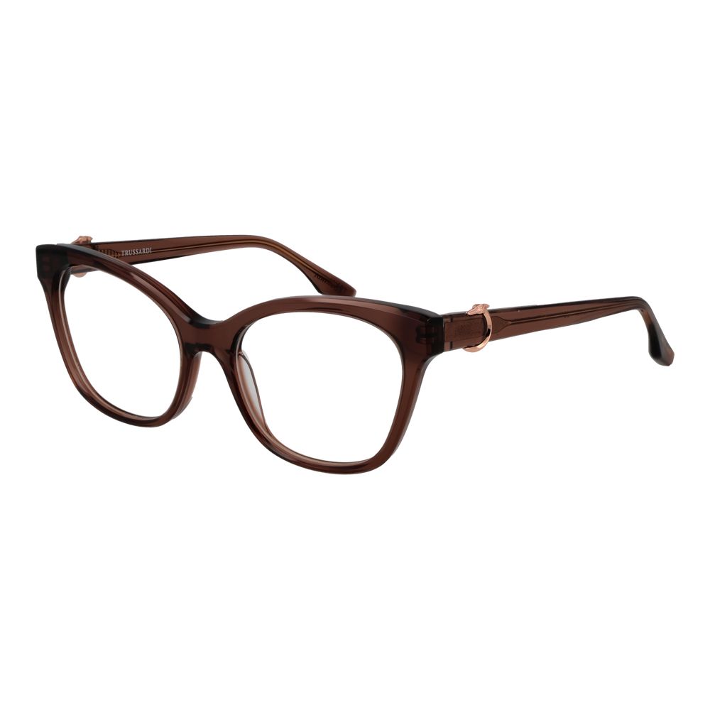 Brown Acetate Glasses (Frames)