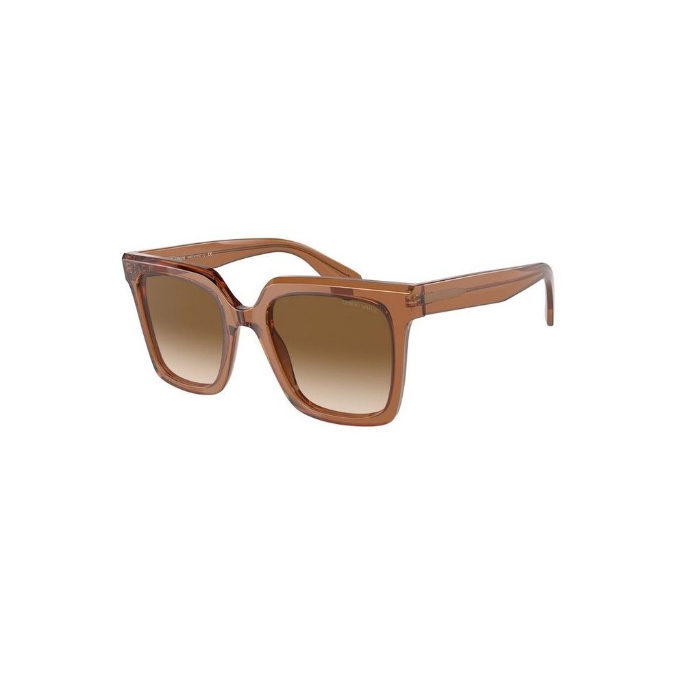 Brown Acetate Sunglasses - ventzia
