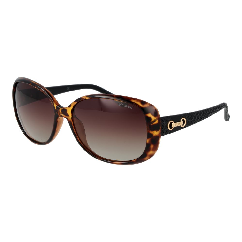 Brown Plastic Sunglasses