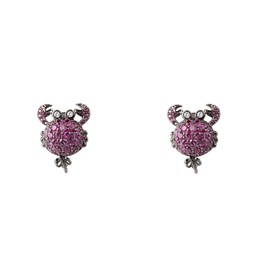 Bicolor Silver Earrings - ventzia