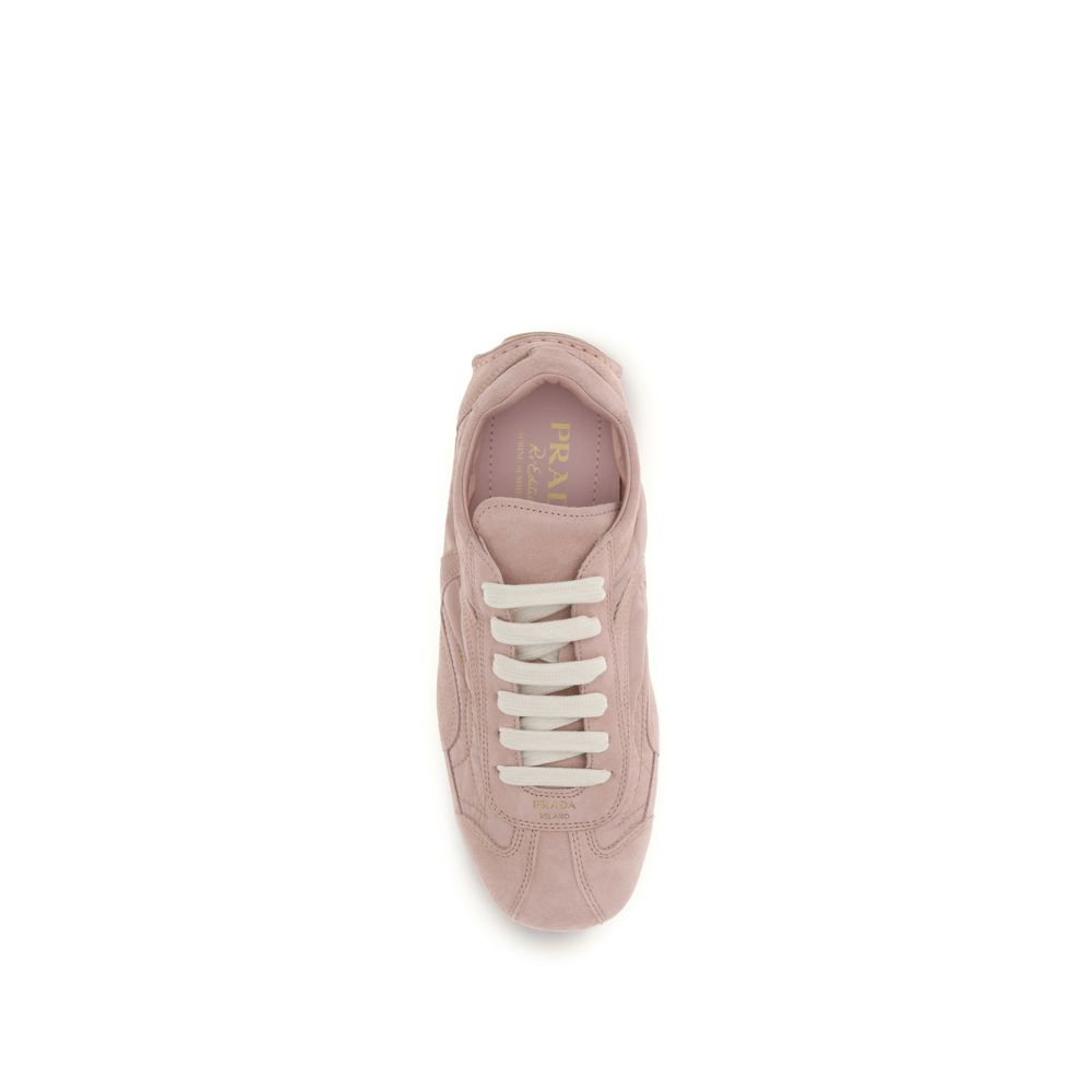 Multicolor Lamb Ovis Aries Aries Sneakers - ventzia