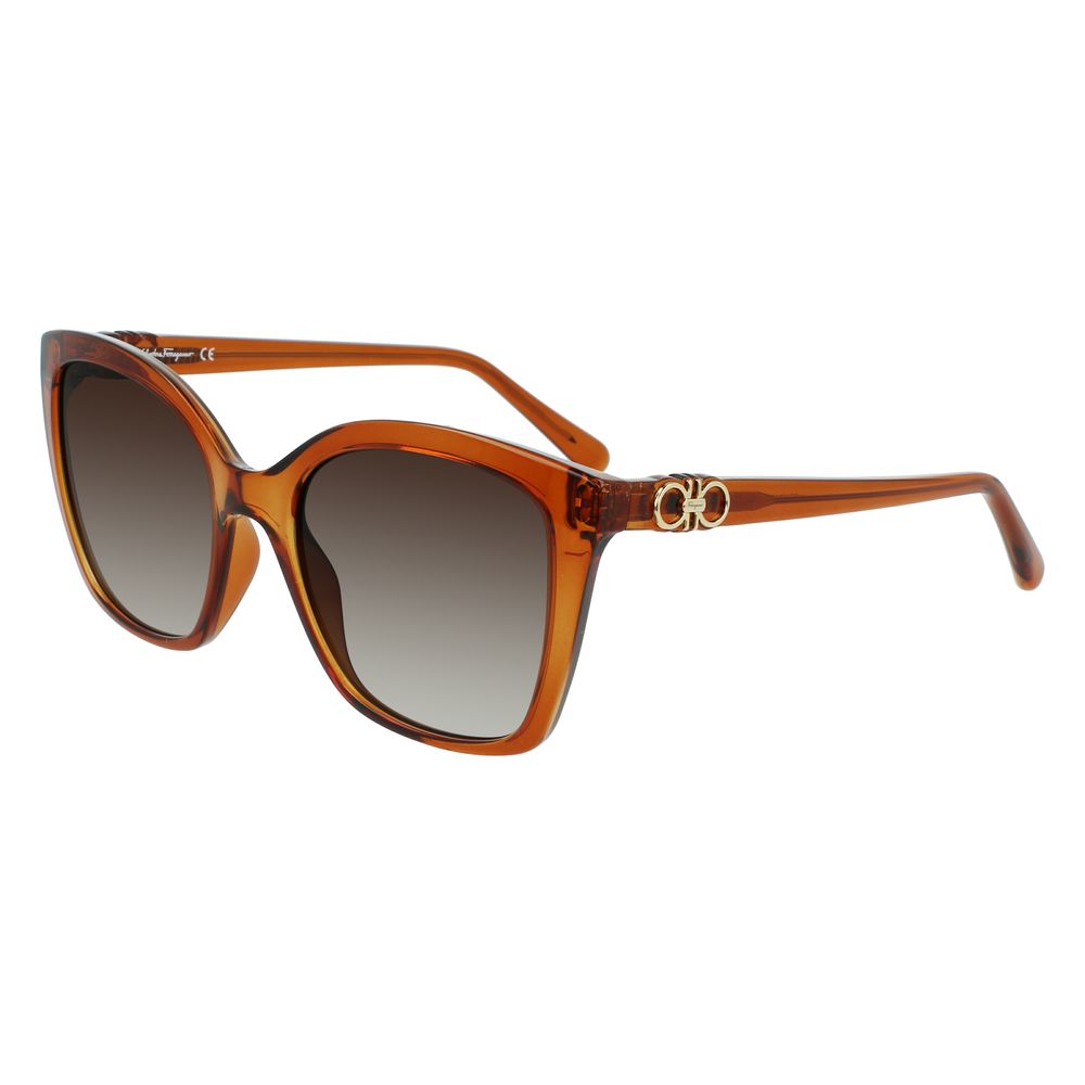 Brown Injected Sunglasses - ventzia