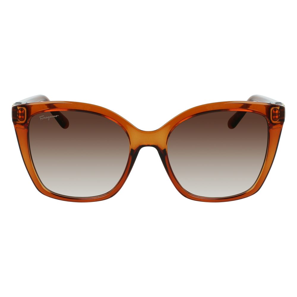 Brown Injected Sunglasses - ventzia