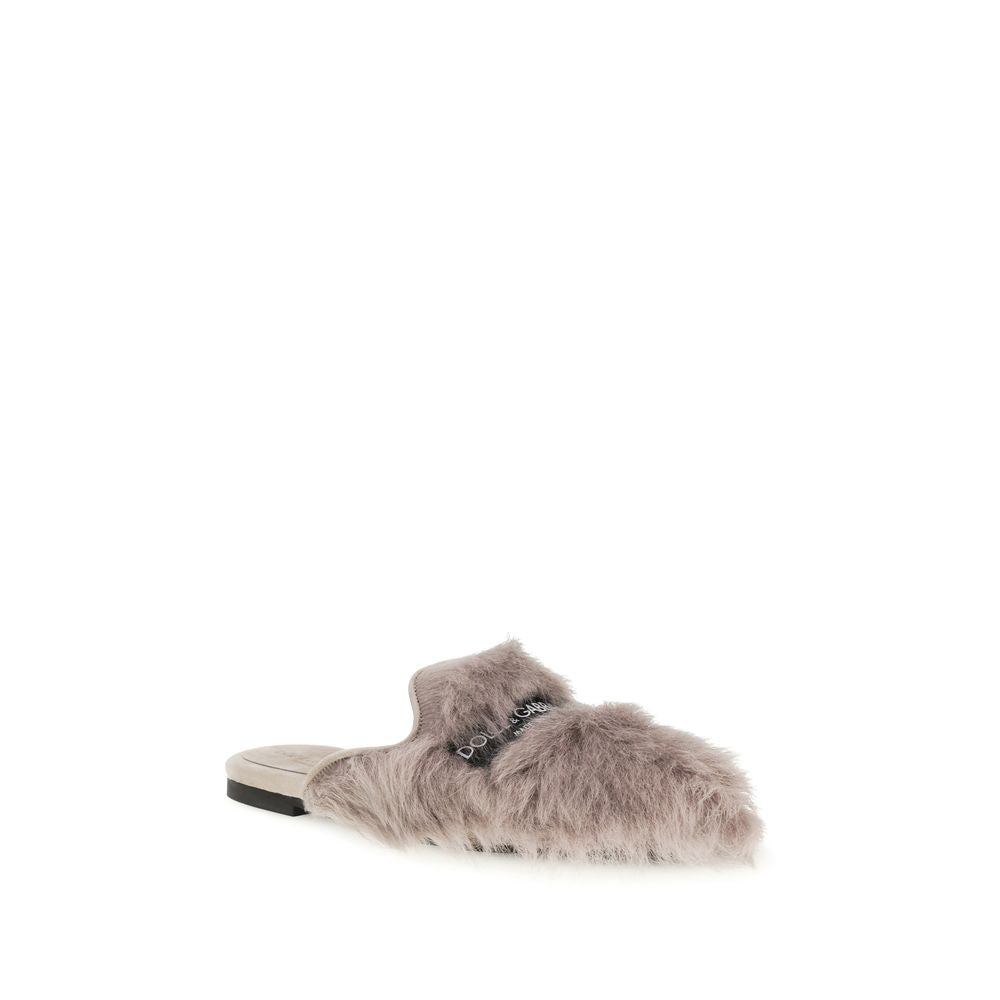 Gray Lamb Ovis Aries Aries Mules - ventzia