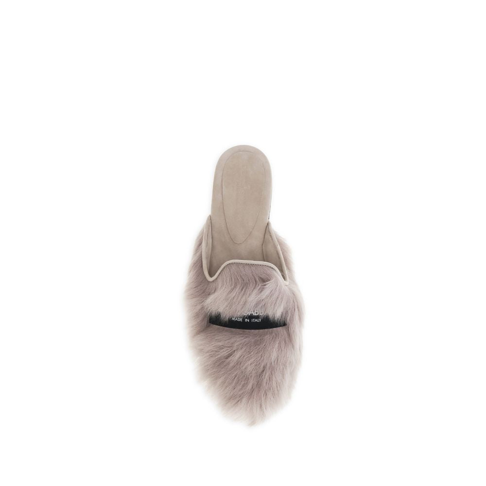 Gray Lamb Ovis Aries Aries Mules - ventzia