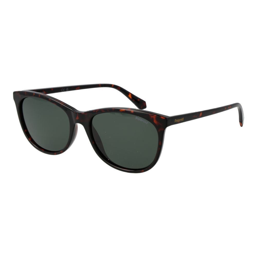 Brown Plastic Sunglasses - ventzia