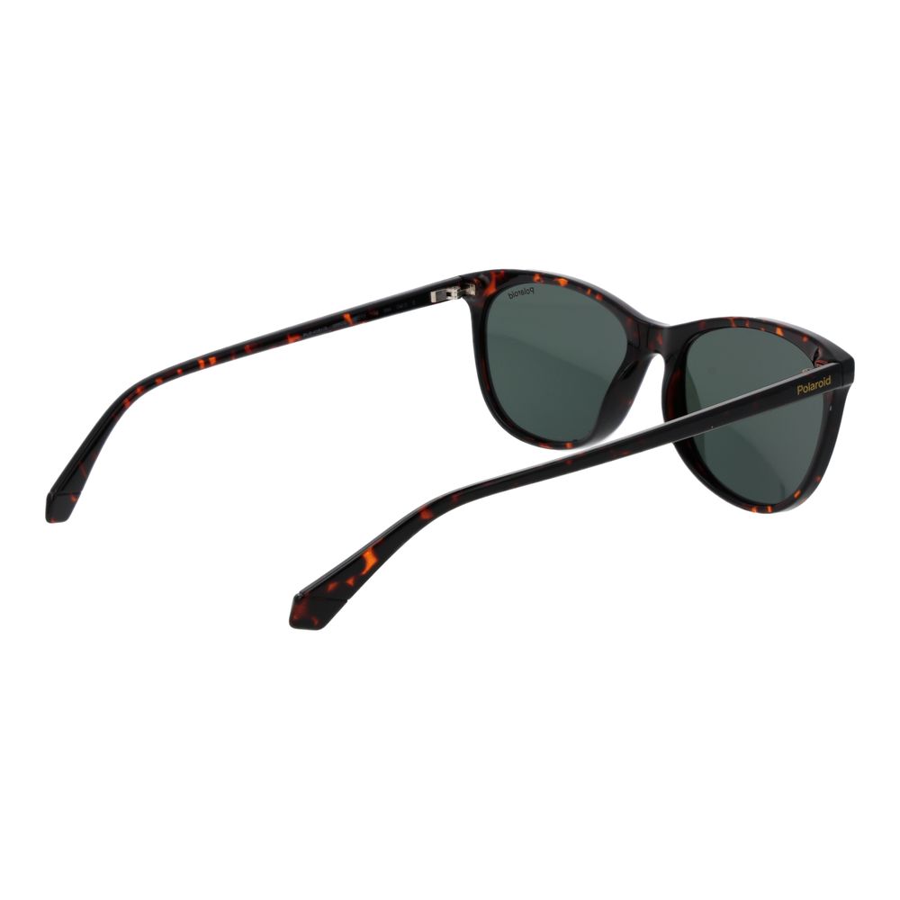 Brown Plastic Sunglasses - ventzia