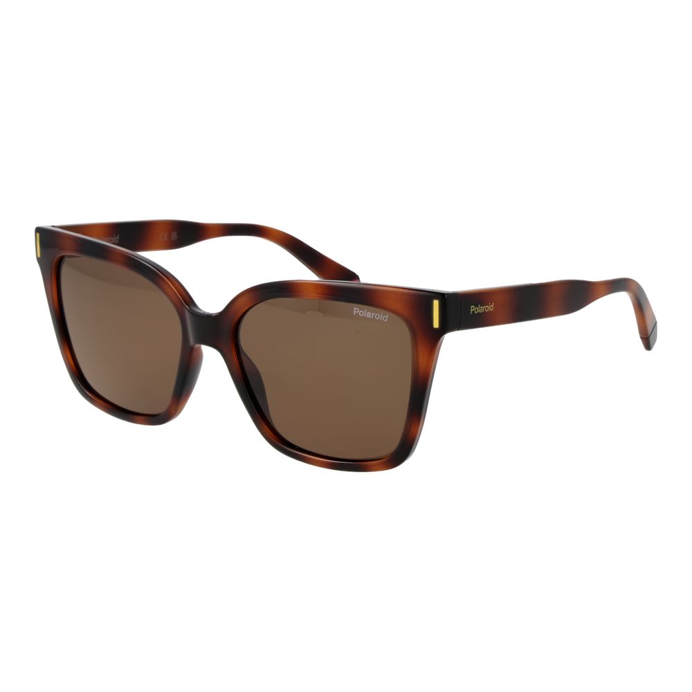 Brown Plastic Sunglasses - ventzia
