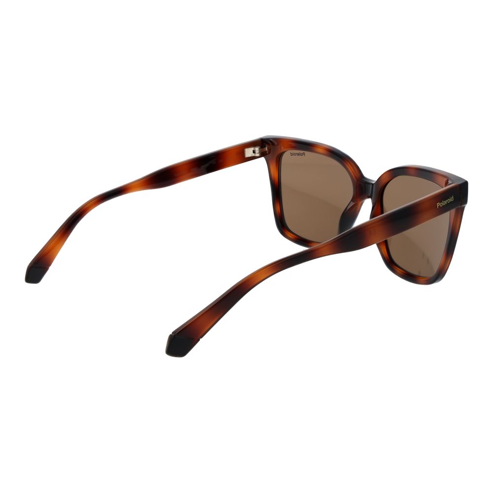 Brown Plastic Sunglasses - ventzia