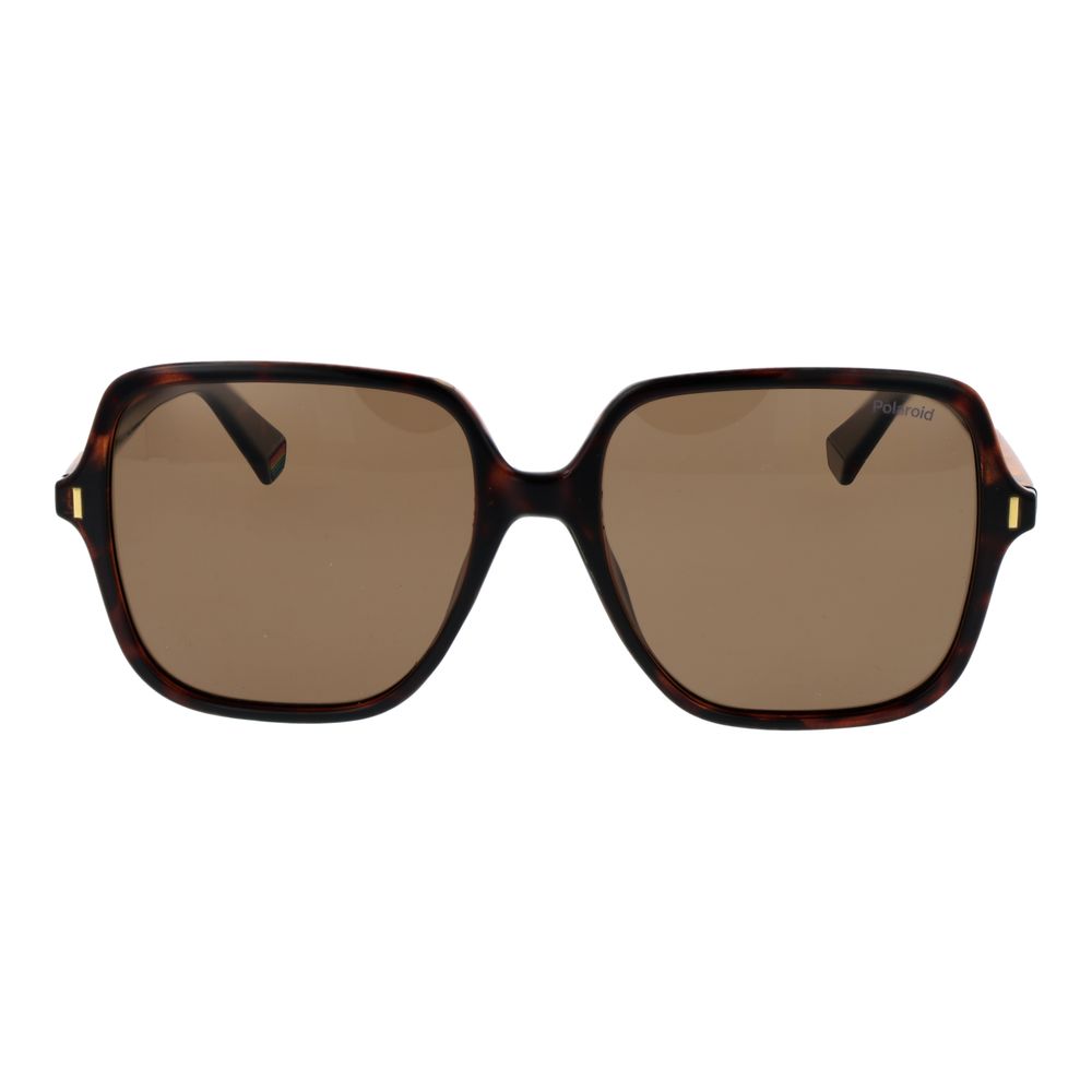 Brown Plastic Sunglasses - ventzia